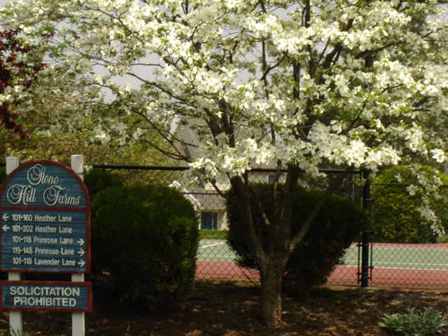 Spacious 2 Bedroom Condo in Wyomissing with garage! — Photo 2