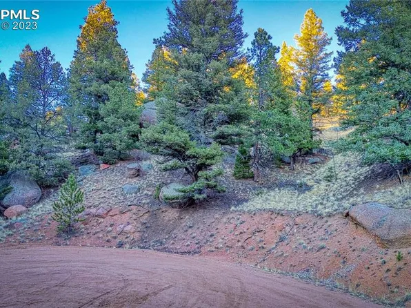 911 Pinon Ln, Florissant, CO 80816