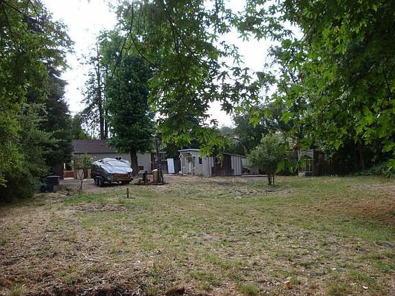 Sunny Yard