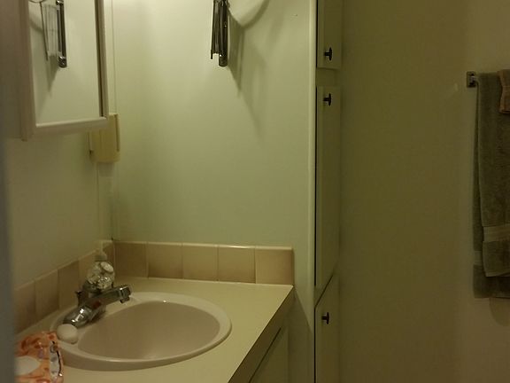 Hall bath
