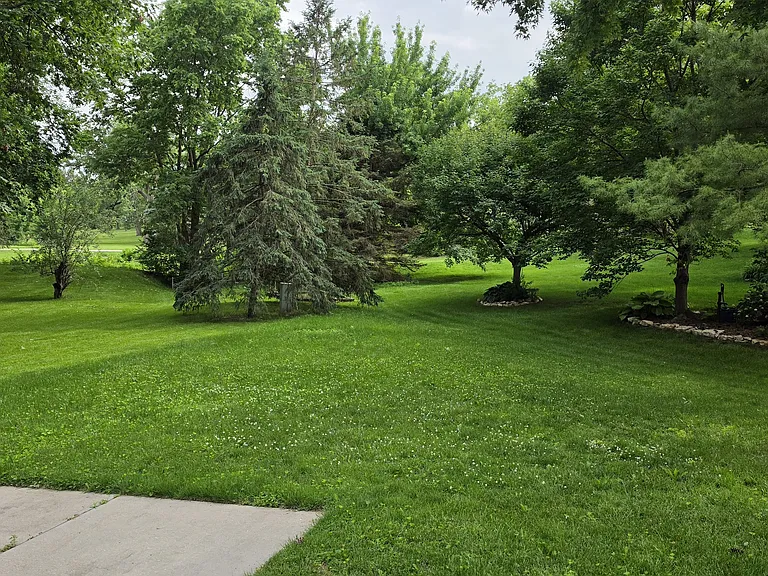 Backyard - Mature trees and park