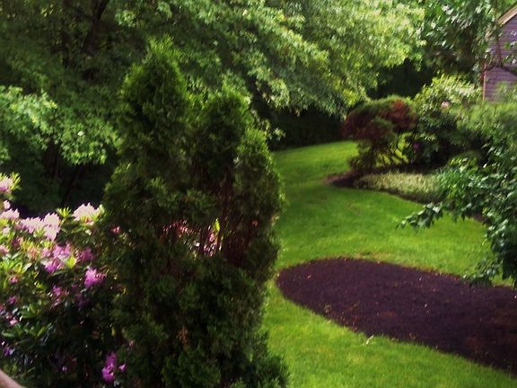 Side Garden