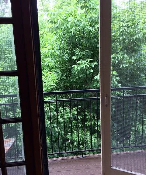 3535 Wyandotte St #A — Photo 7
