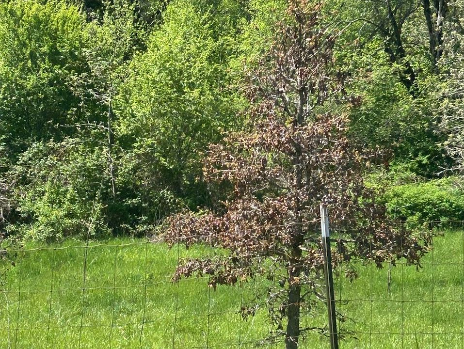 1st image of SW Rock Creek Rd #1