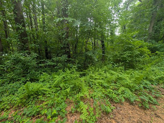 5th image of LOT Baker Pond Rd #C