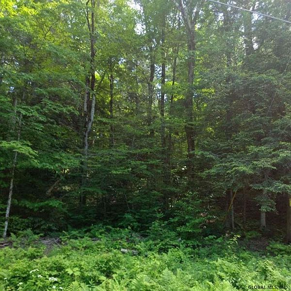 4th image of 0 BROOME CENTER Road