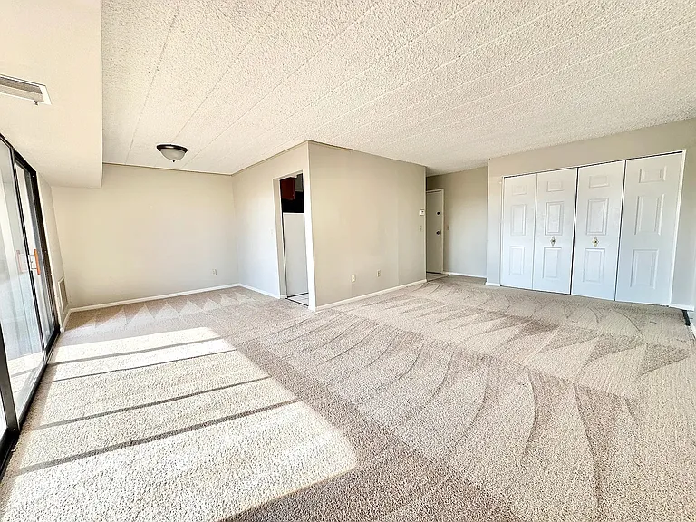 Large 1-Bedroom W/ Balcony
