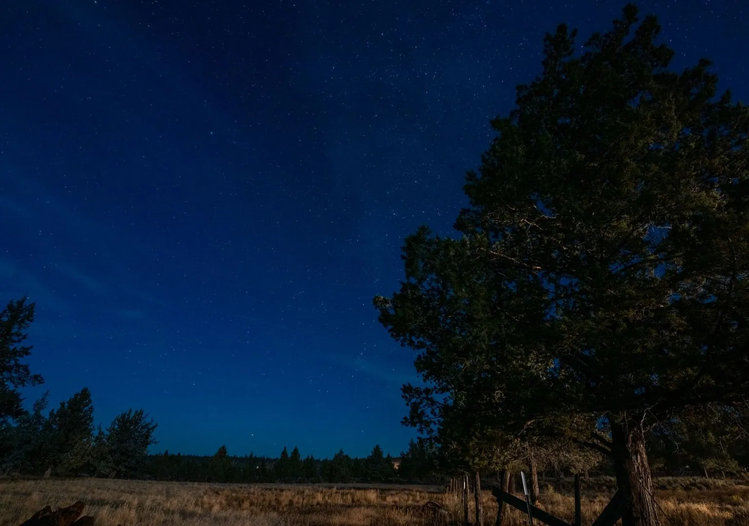 Stargaze in serenity with this Spectacular 5-Bdr Custom Home on a 5 acre lot! — Photo 4