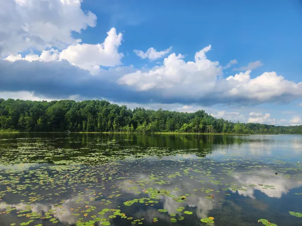 Winding Wood Dr, Farwell, MI 48622