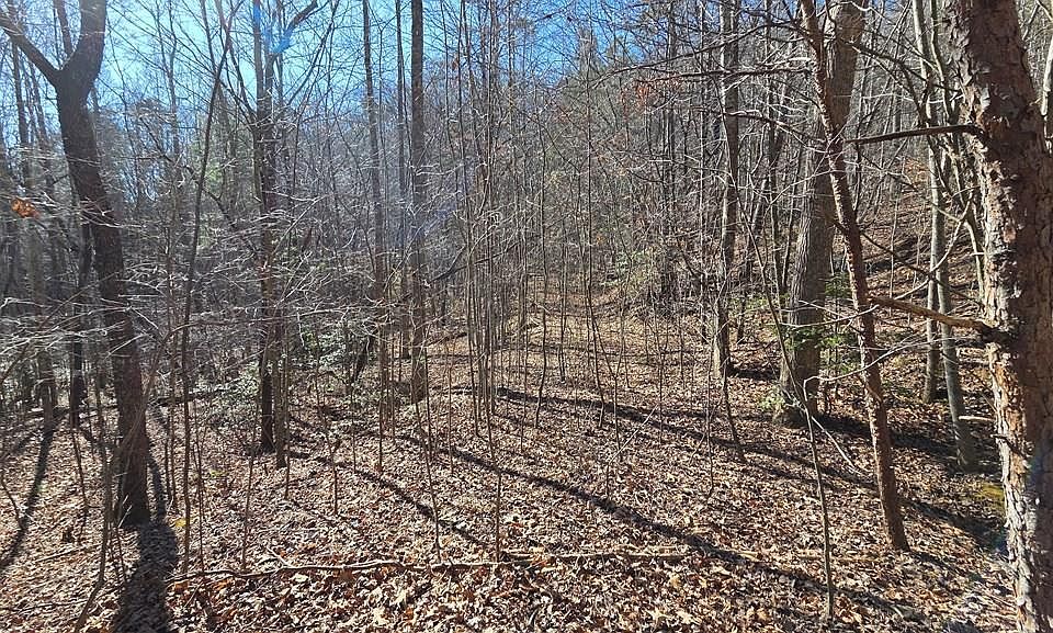 1st image of LOT 12 Mountain Laurel Est