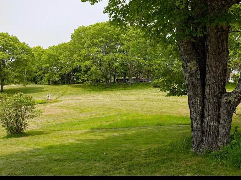 View of front yard from driveway
