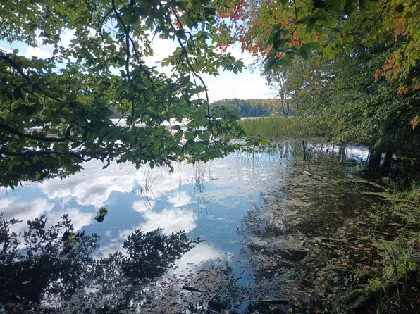 W Nurnberg Rd, Free Soil, MI 49411