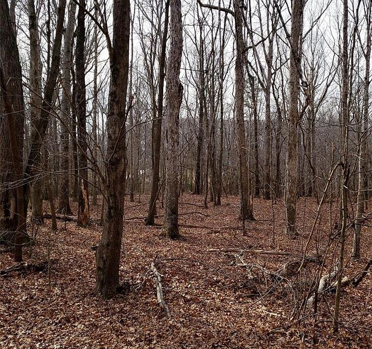 1st image of 0 Cardinal St Lot 35&38 Map 4