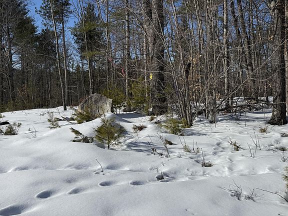 3rd image of 299 Intervale Road