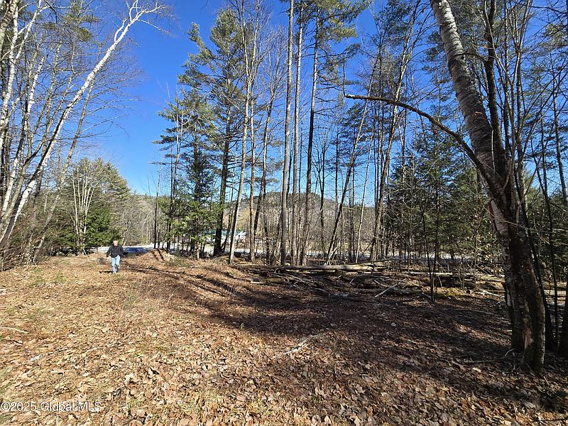 2nd image of L11.231 Valentine Pond Road