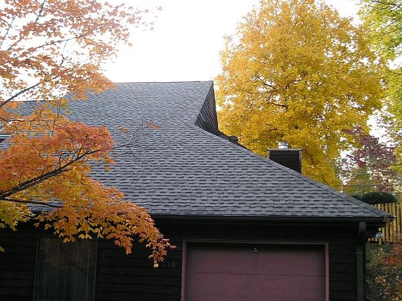 Large Hickory in Rear provides shade and color