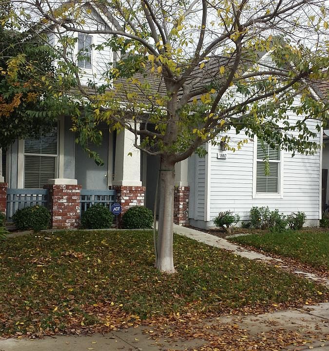 1st image of 1887 Acari Ave