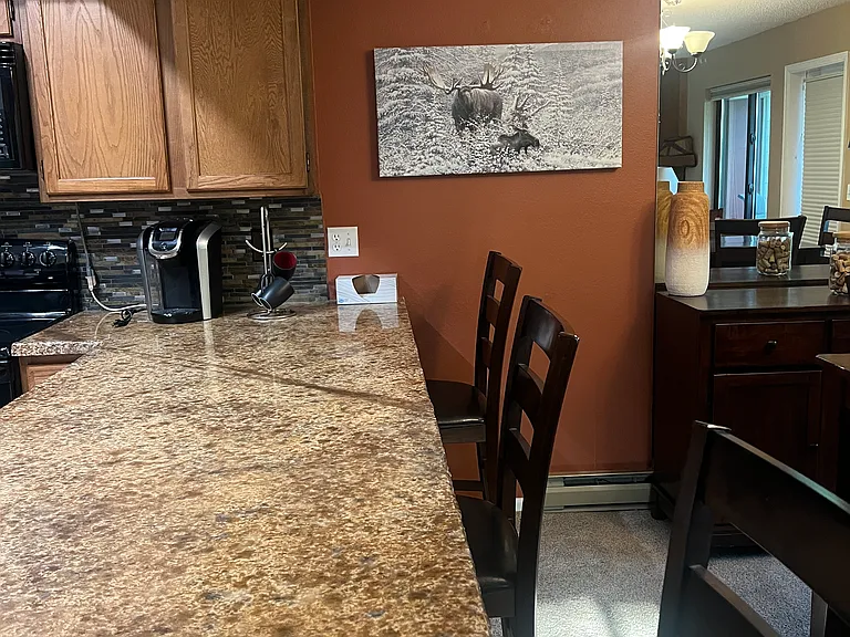 4827 Ryan Gulch Rd #4827 — Photo 3