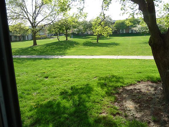 Summer View