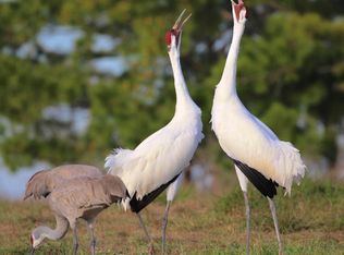 302 Lamar Beach Rd, Rockport, TX 78382