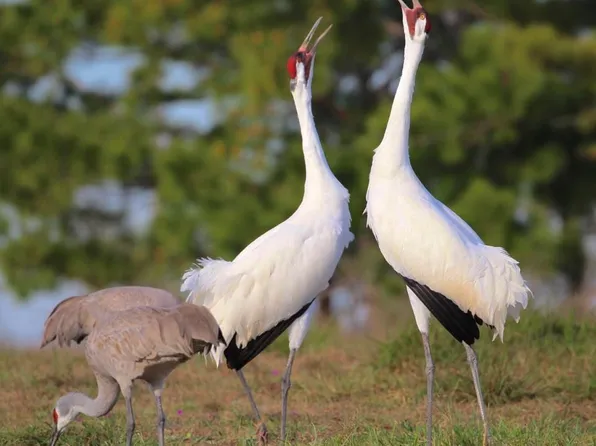 302 Lamar Beach Rd, Rockport, TX 78382