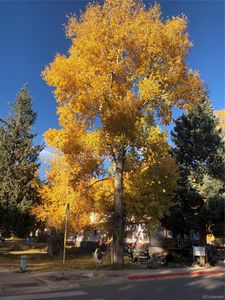 0 W Silver Avenue, Crestone, CO, 81131