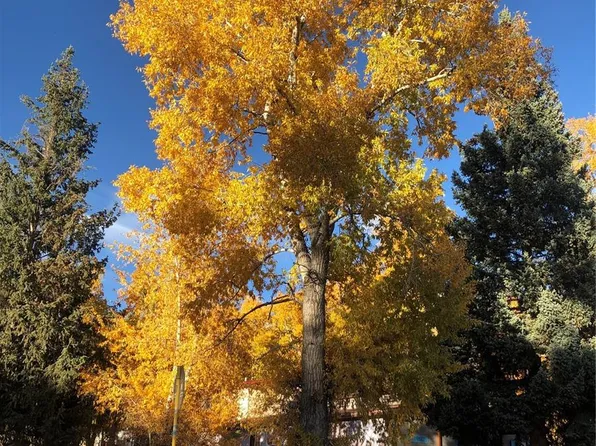 0 W Silver Avenue, Crestone, CO 81131
