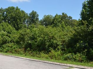0 Europa Dr, Spring City, TN 37381