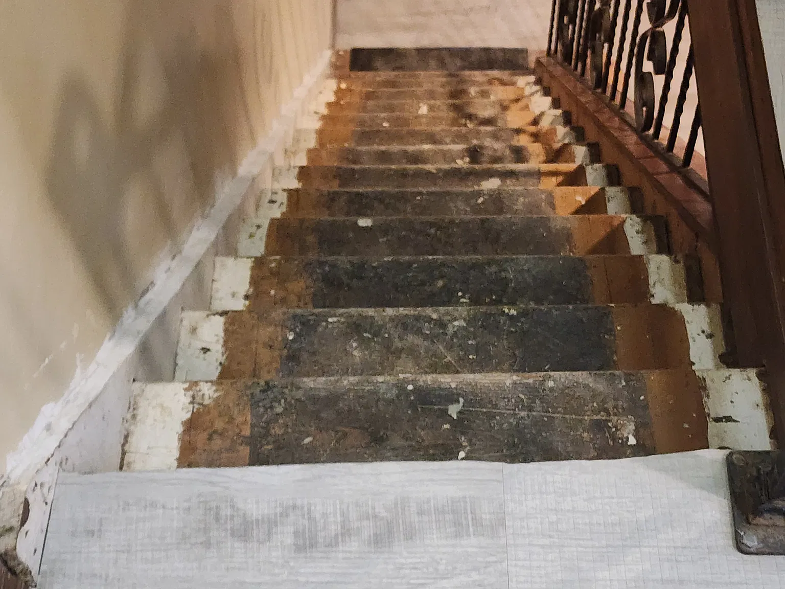 3 bed, 1.5 bath, $1,400 — Photo 4