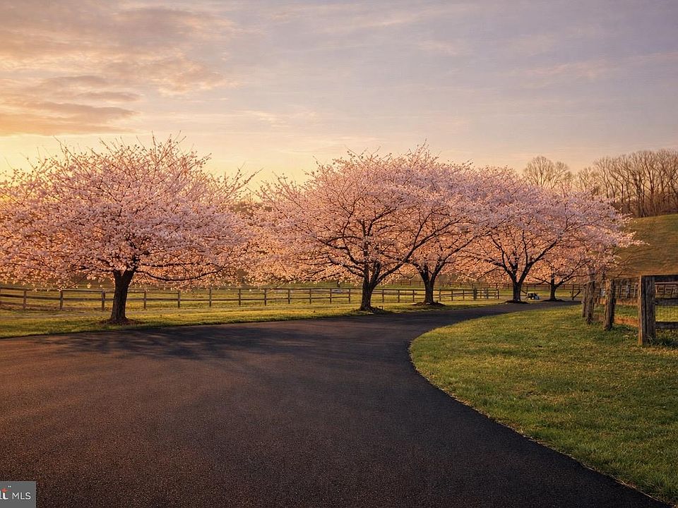 1st image of 26410 Haines Rd