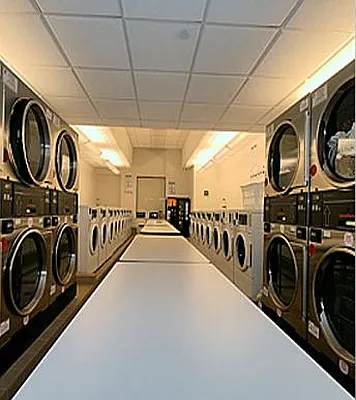 Rented by City Connections Realty | media 5