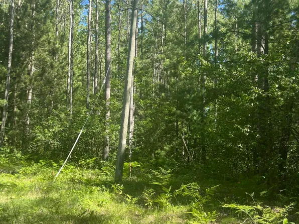 PARCEL 3 Zacek Dr, Roscommon, MI 48653