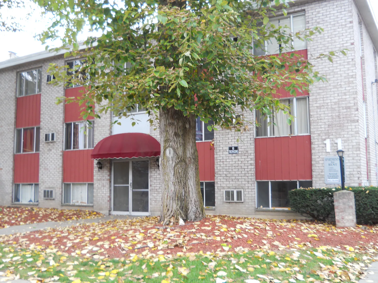 2 bed, $900 — Photo 1