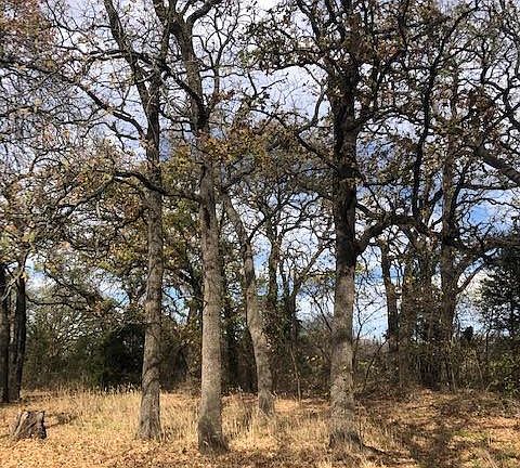 3rd image of 9745 Forest Dr Lot 2