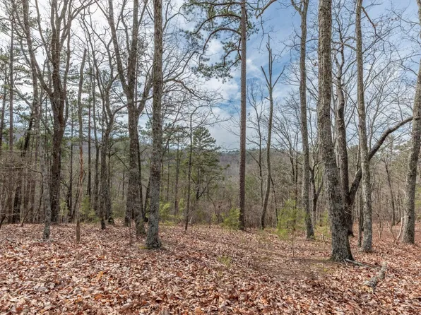 12 Brite Ct, Ranger, GA 30734