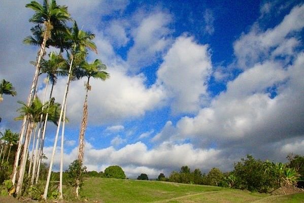 2nd image of LOT Two B Kailua