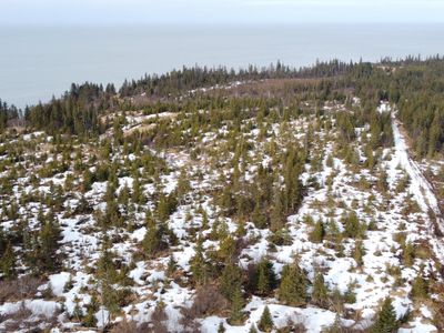 1 Deneki Trl, Homer, AK, 99603