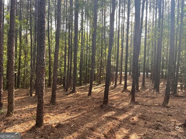 1283 Klopfer Rd, Juliette, GA 31046