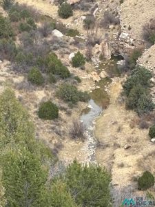 29 County Road 29, Wagon Mound, NM, 87752