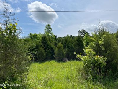 3 Shaw Creek Rd, Big Clifty, KY, 42712