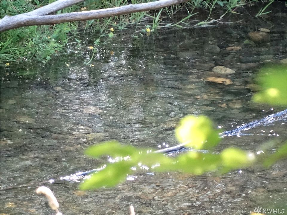 The Tahuya River looks cool and refreshing!