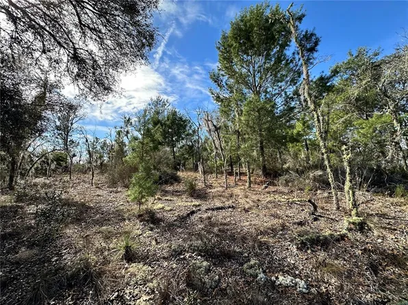 NE 16th Ln #6, Williston, FL 32696