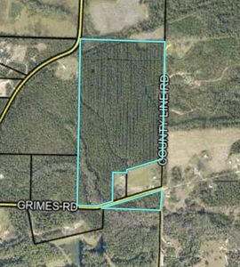 Grimes Rd, Laurel Hill, FL, 32567
