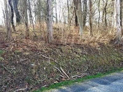 3 Whiskey Hill Rd, Lexington, VA, 24450