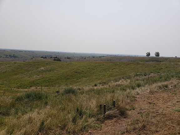Pasture east of the house