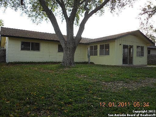 Picture 3