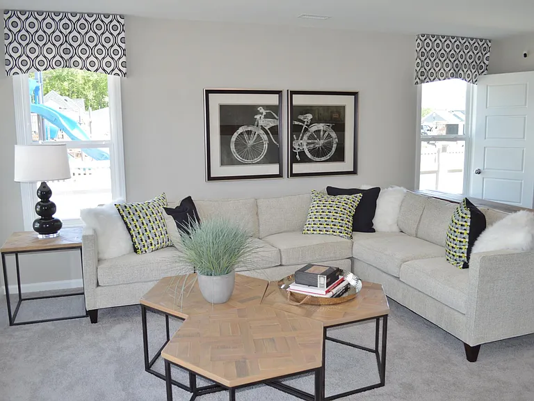 1180 Brown Velvet Ln — Photo 6