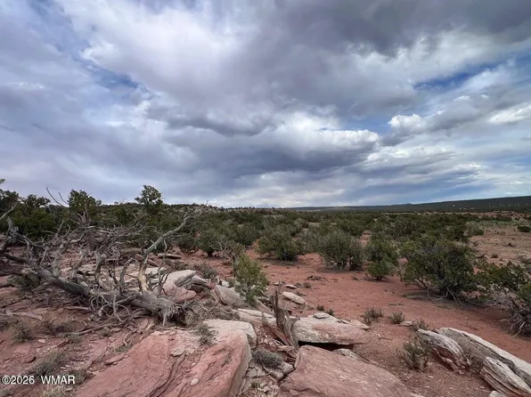 9286 Blackberry Ln, Show Low, AZ 85901