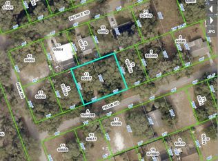 Hilda Rd LOT 12, Dade City, FL 33523