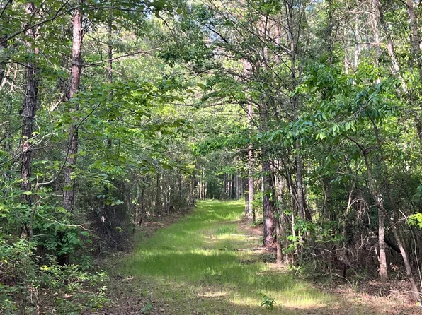 0 Caroline Reed Rd, De Kalb, MS 39328